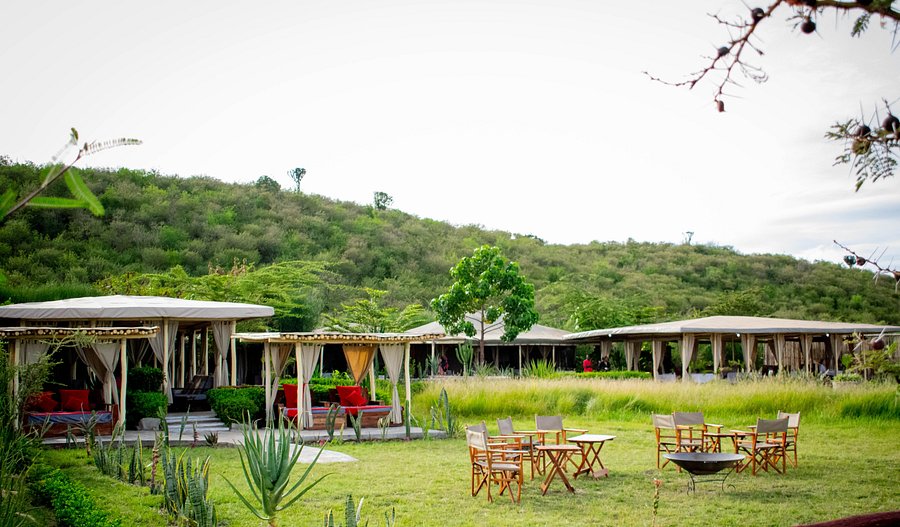 zebra-plains-camp